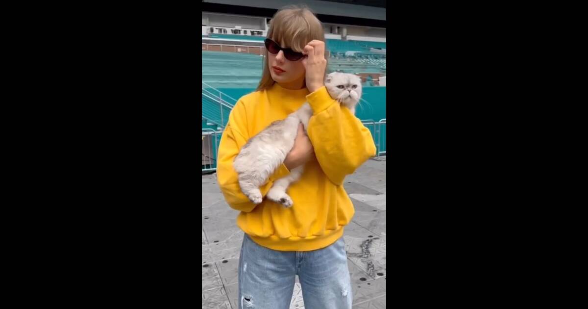 Megyn Reacts to Taylor Swift Flaunting Her ‘Childless Cat Lady’ Status