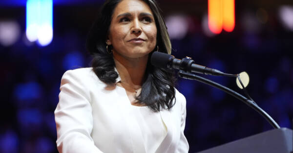 Megyn Reveals What Sources Told Her About DNI Tulsi Gabbard’s Resignation