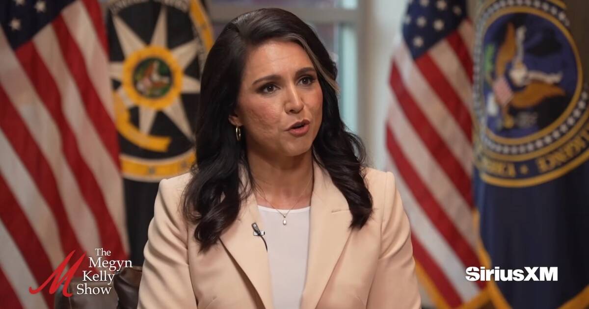 DNI Tulsi Gabbard Reacts to U.S. Signing Ukraine Minerals Deal and Need to  Help Americans at Home – Megyn Kelly
