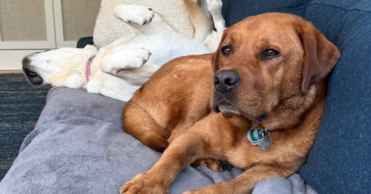The Strudwick File: Coffee Talk, Part II