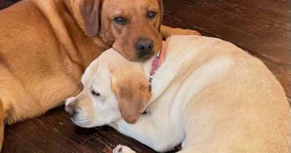 The Strudwick File: The Sleepy Stakeout