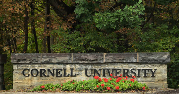 Investigation into Alleged ‘Cornell Seven’ Gang Rape Reopened After Accuser Files Civil Lawsuit
